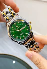 Pagodaar Men’s Luxury Watch – Green Dial Stainless Steel Two-Tone