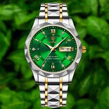 Pagodaar Men’s Luxury Watch – Green Dial Stainless Steel Two-Tone